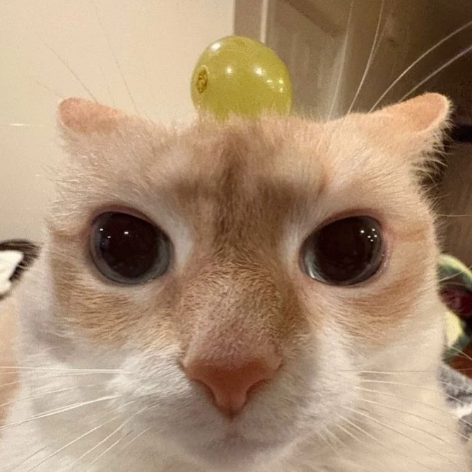 Uzuksurax