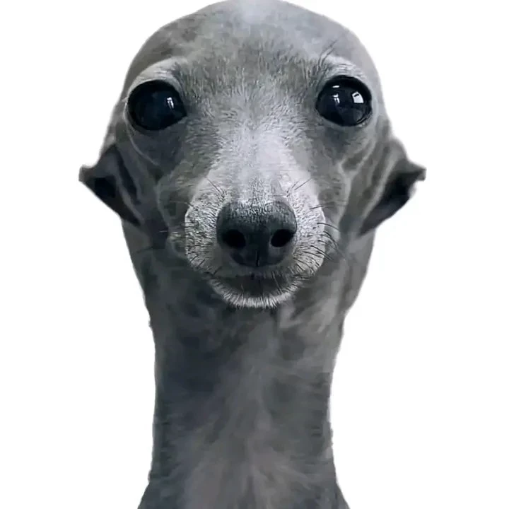Paulo