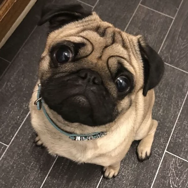 Evan