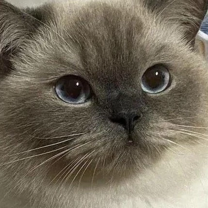 Fiona