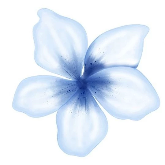 𝓑𝒆𝒍𝒍𝒂