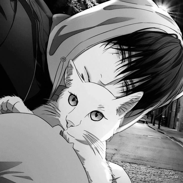 Kaito 