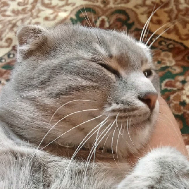 Адэля 