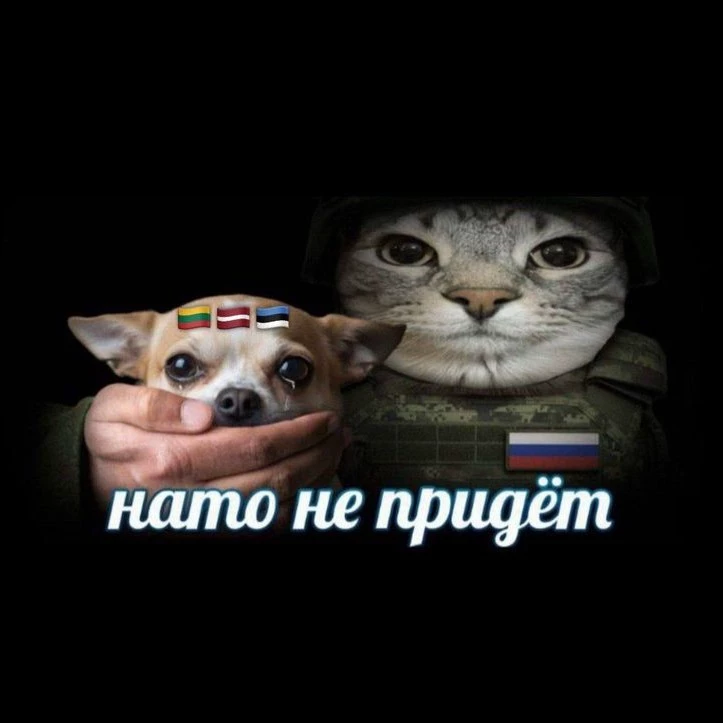 Tomat