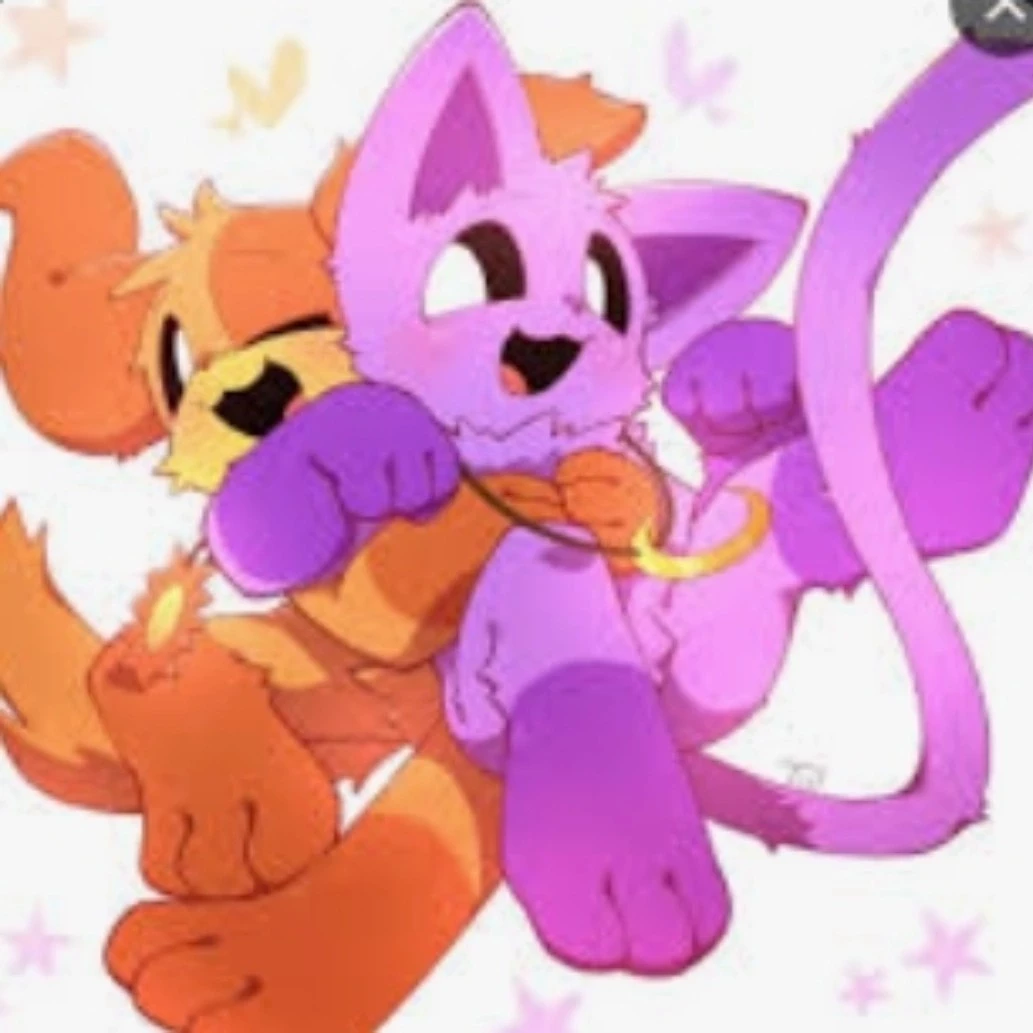 Puita