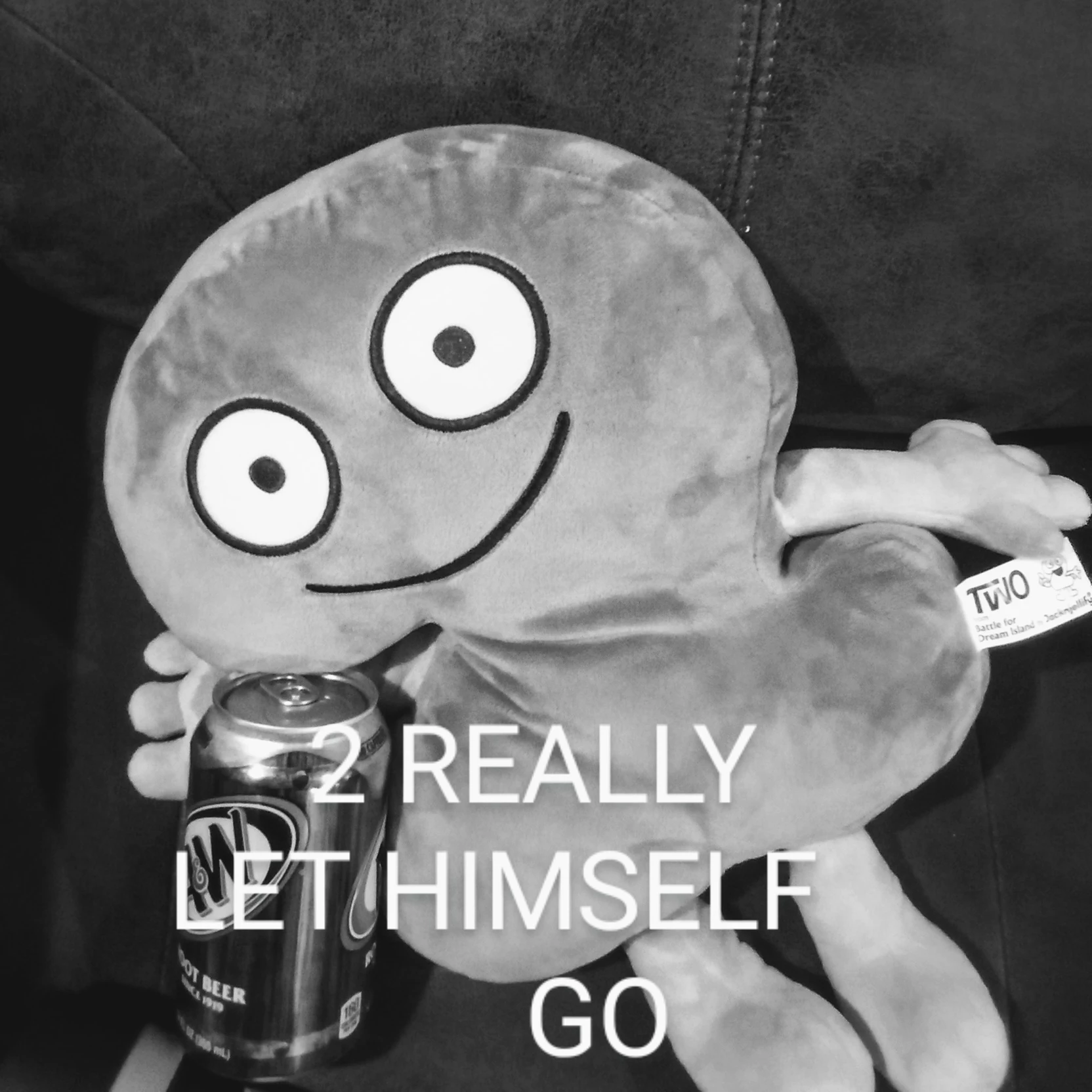 Y/N