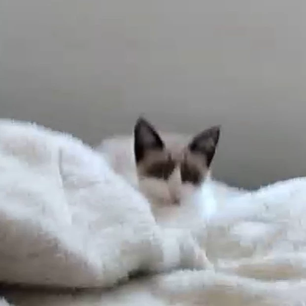 Esmeee