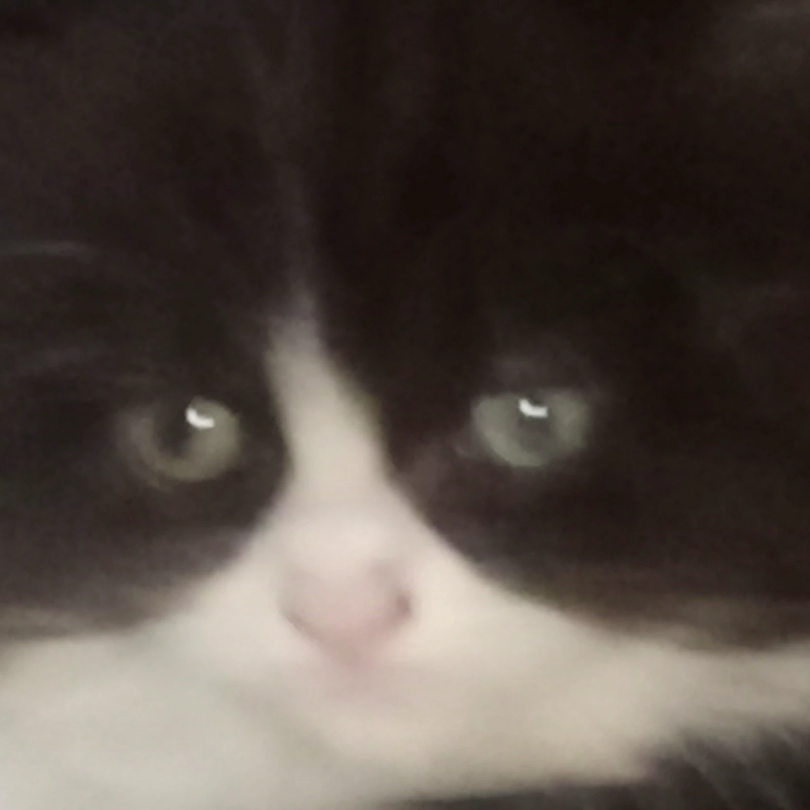 Rony