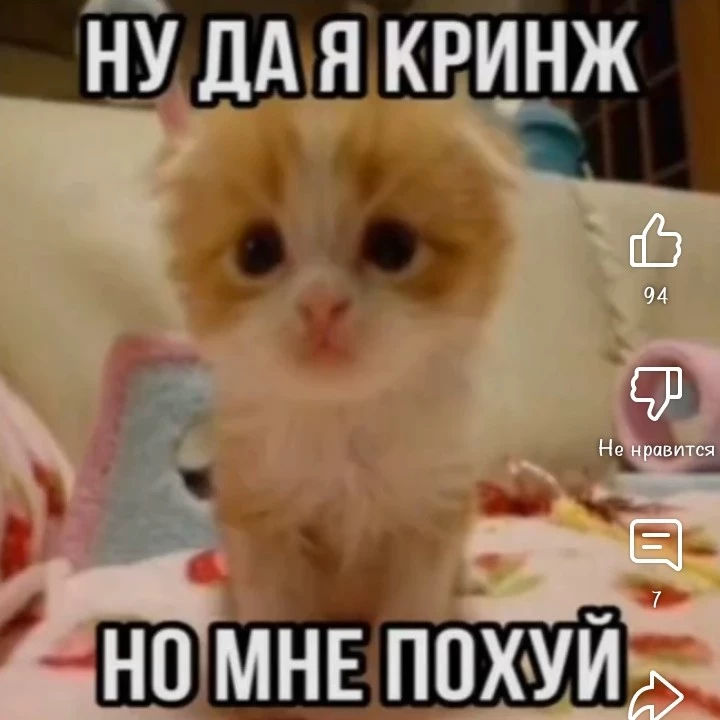 @×Лотти×