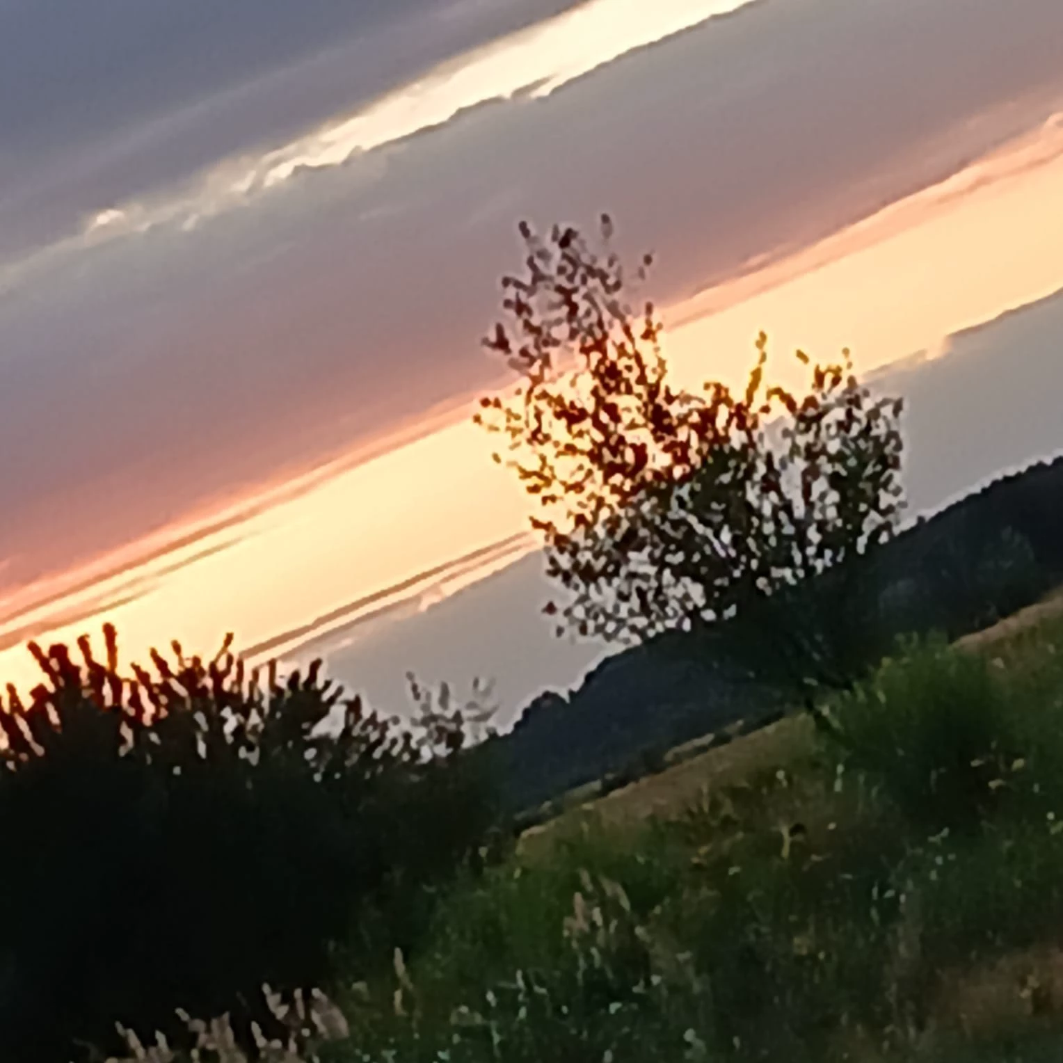 Y/N