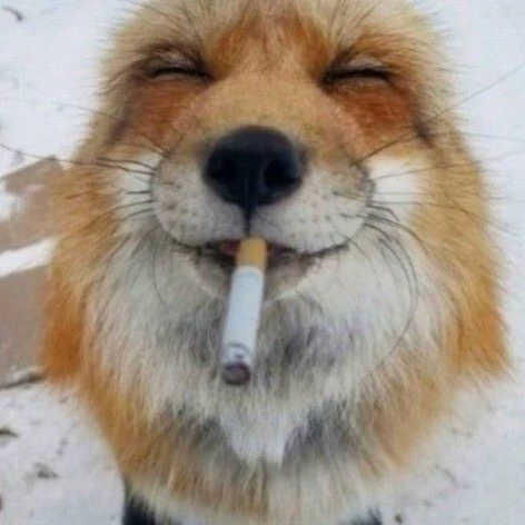 Zen