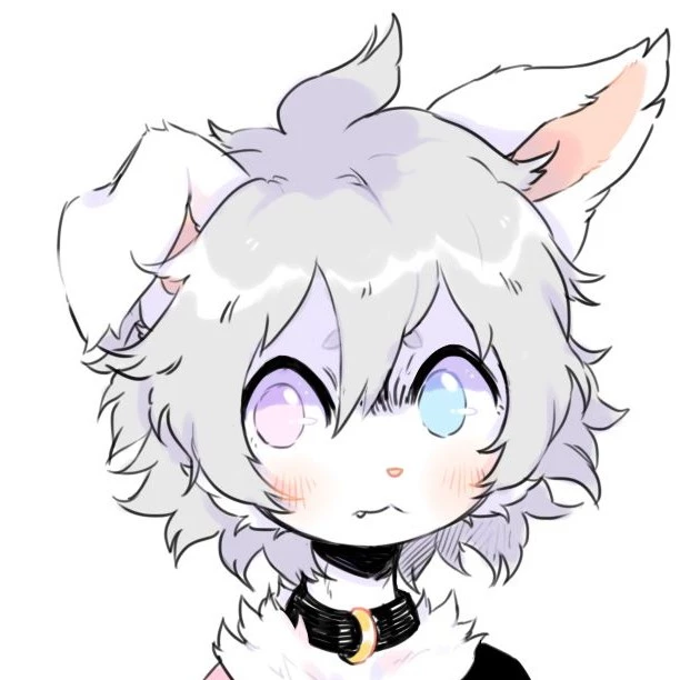 Calico