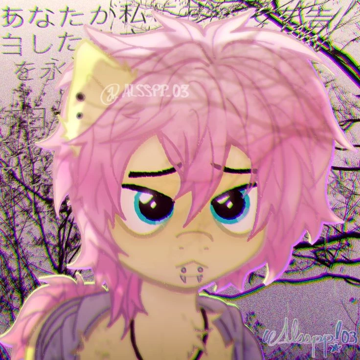 ⋆. 𐙚 ˚