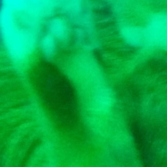 Trin