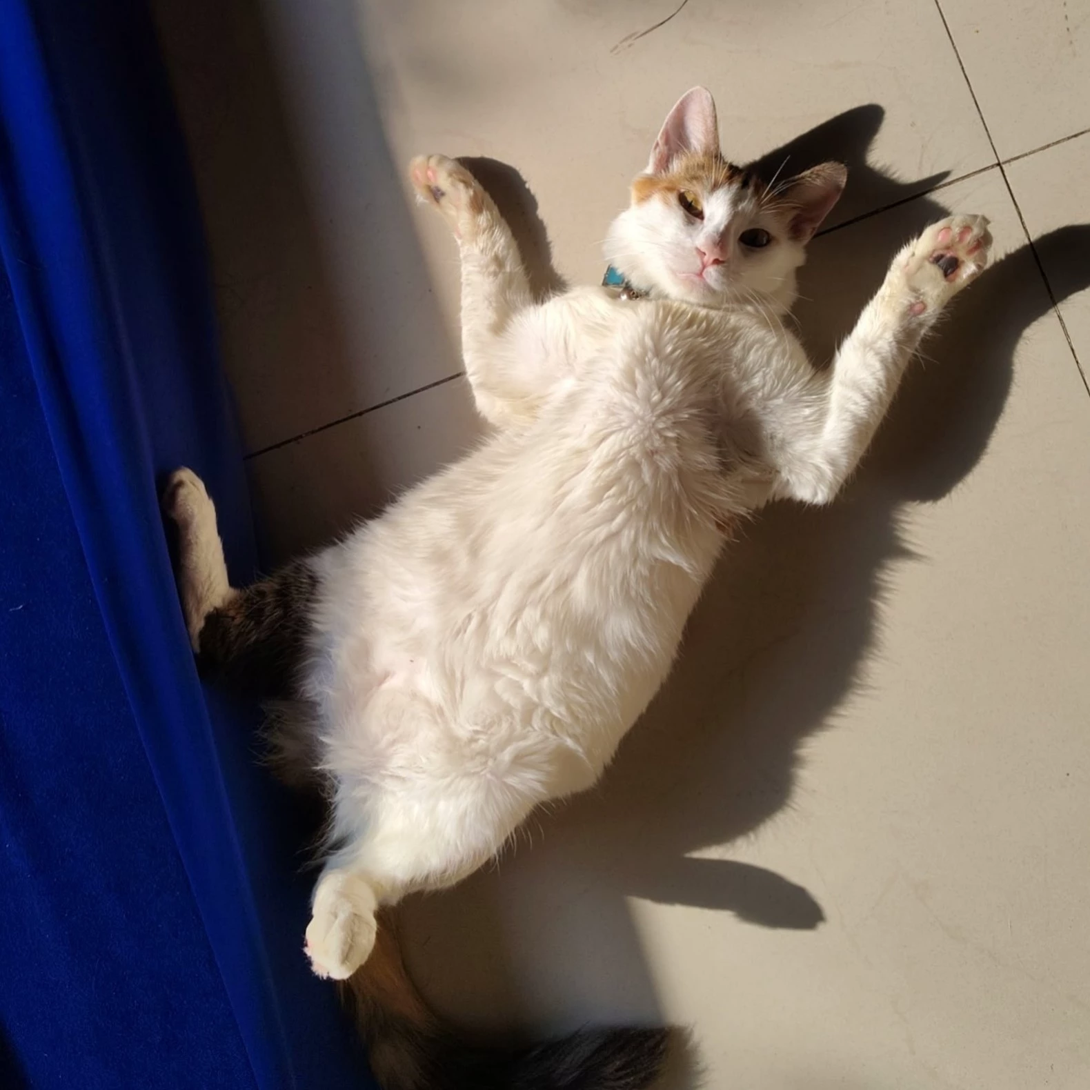 Meenu 