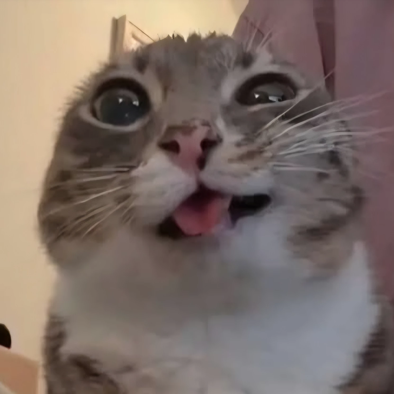 Jarif