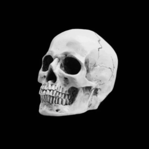 ༺⊱Calandria⊰༻