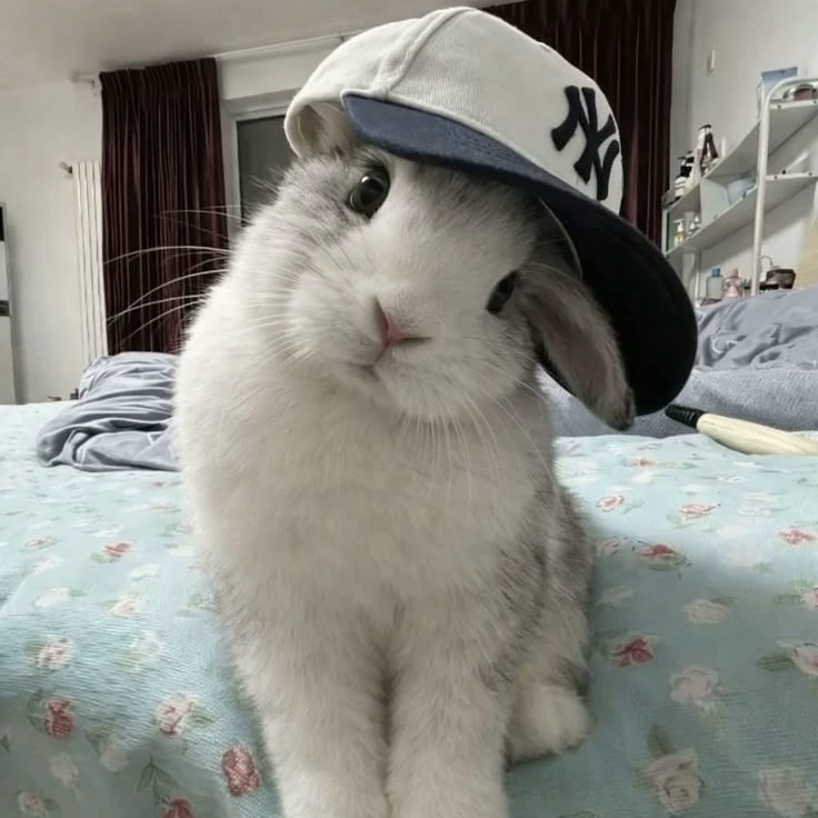 Sei