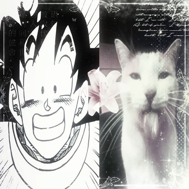 Sofy:3