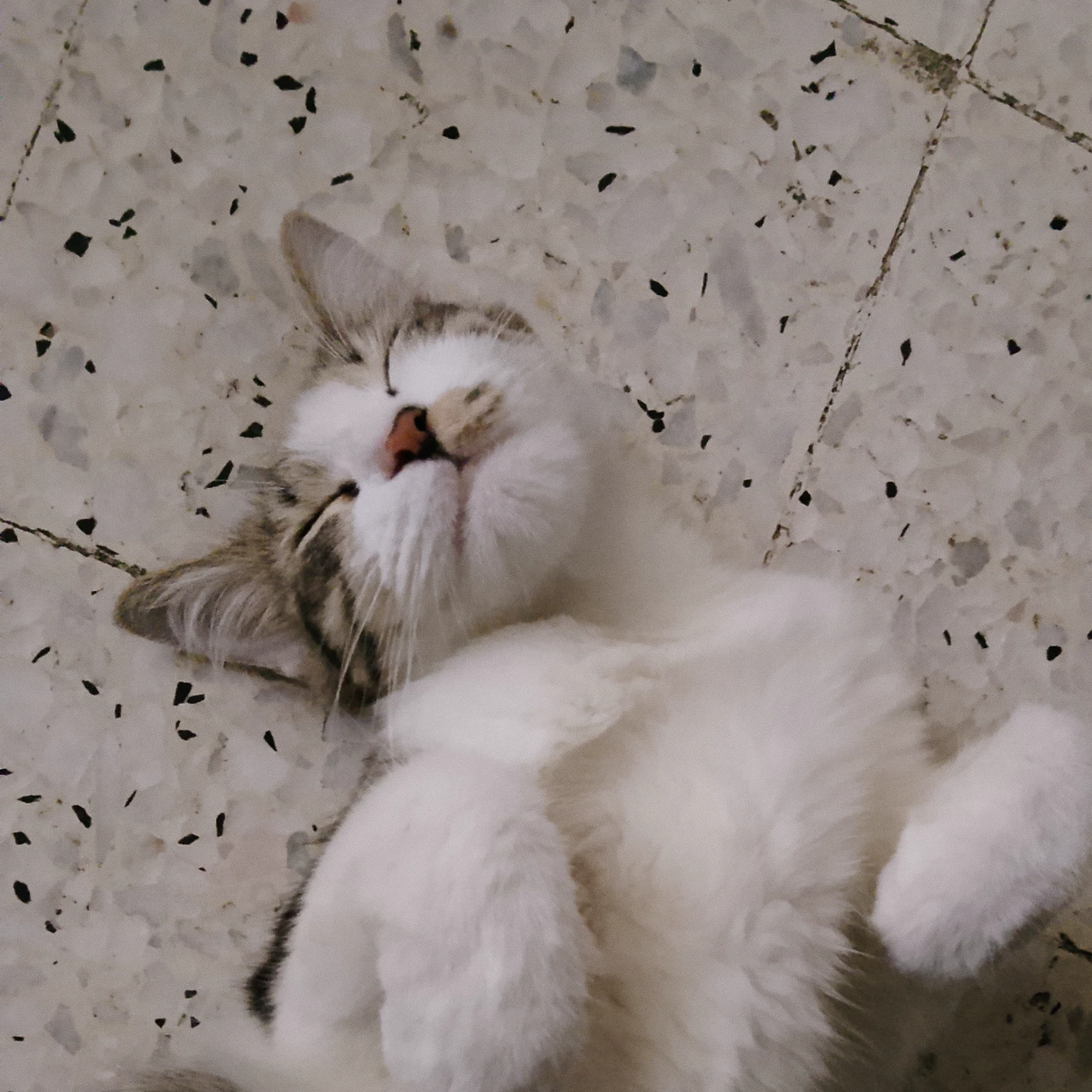 Luna