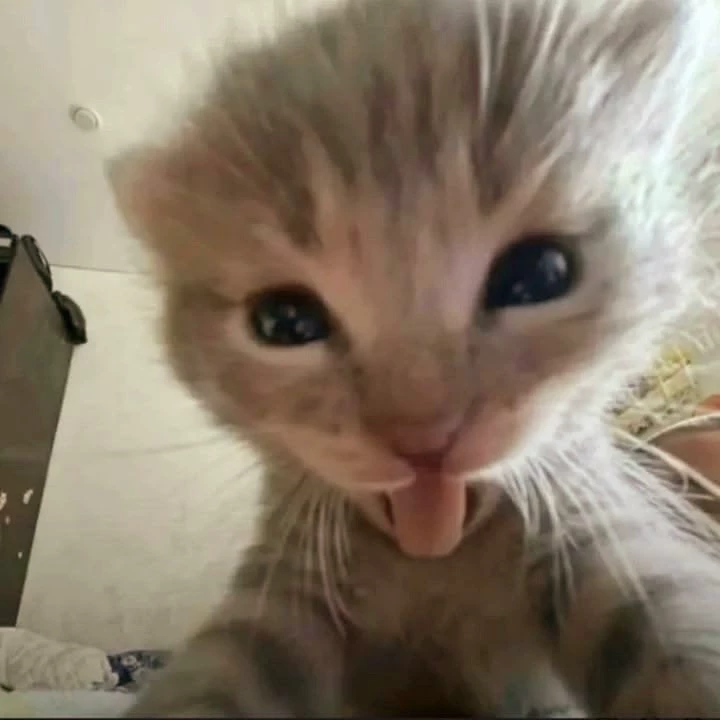 Zee