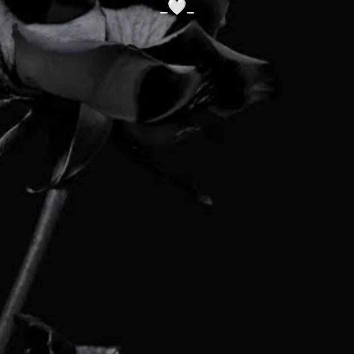 Zane 