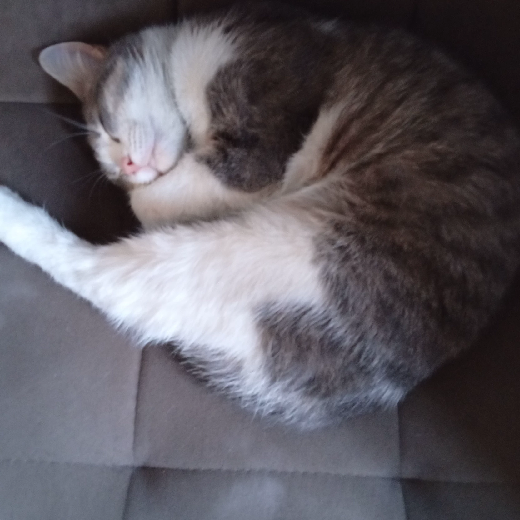 Анна