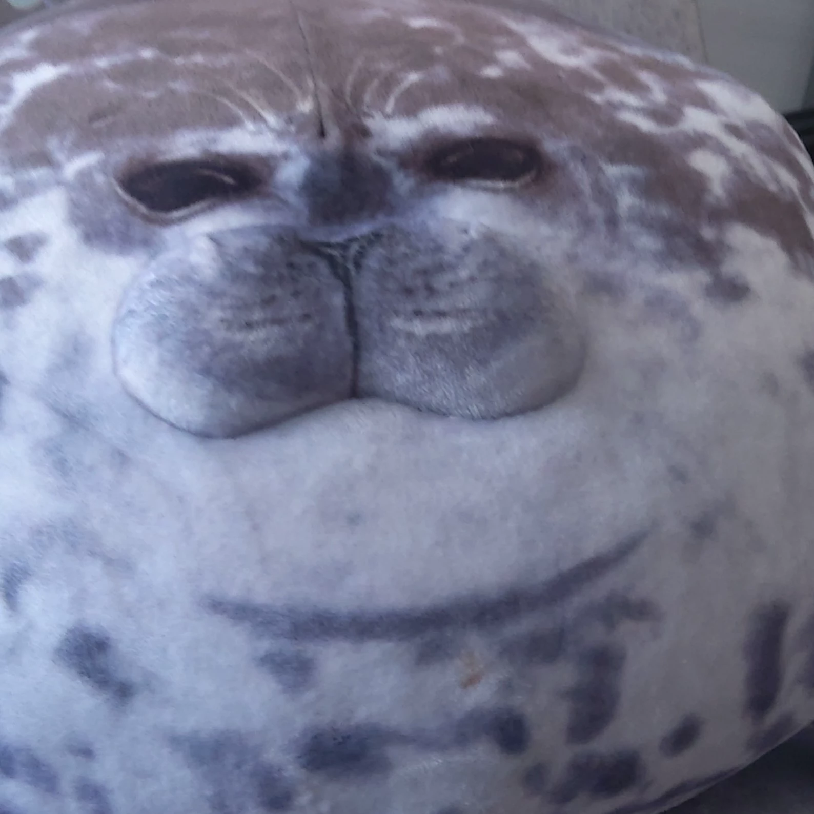 SEAL BELL