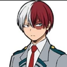 Shoto Todoroki