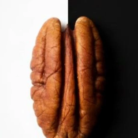 Pototripas
