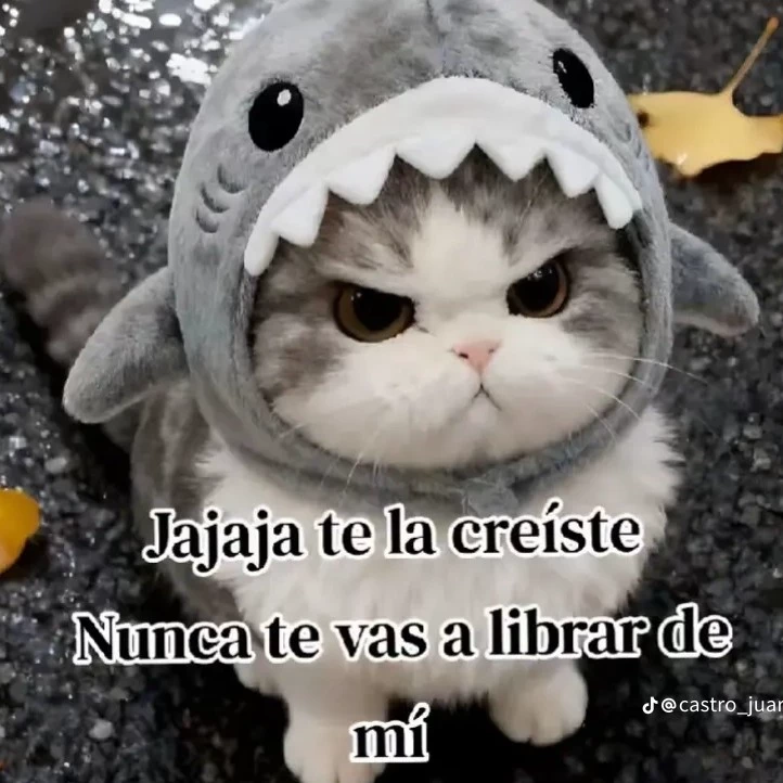 Mitsuri
