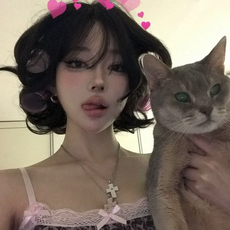 Dissa 