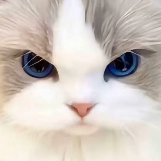 𝕾𝖕𝖔𝖔𝖐𝖞 𝕯𝖔𝖌𝖌𝖔 