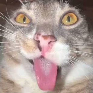 Шон
