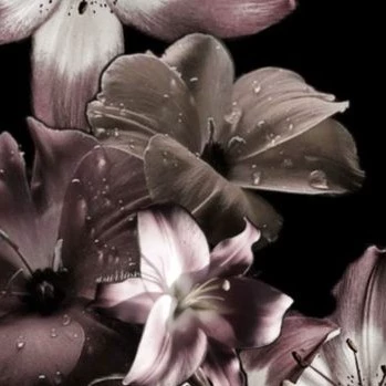 Keshia