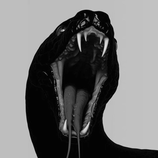 Cobra