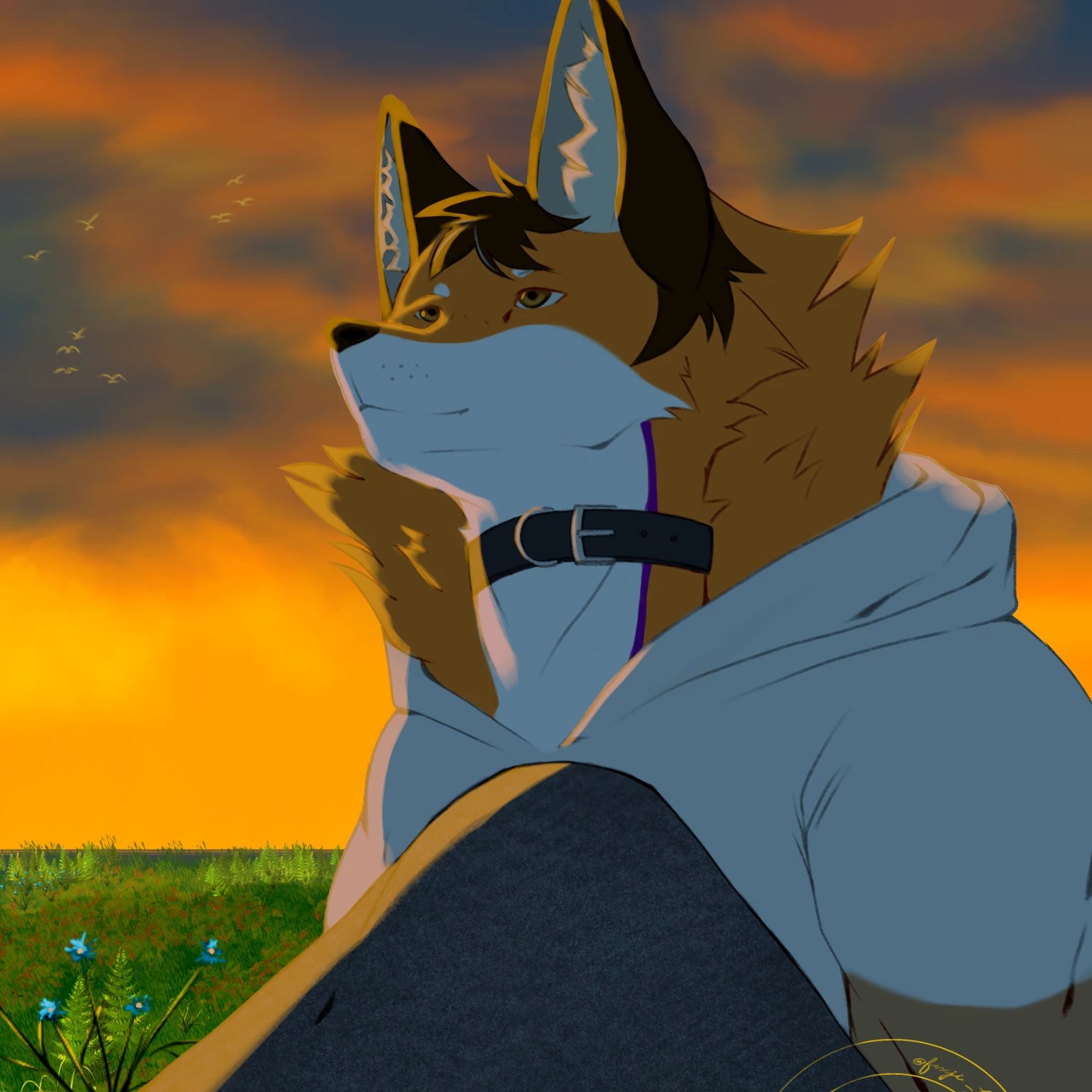 Foxji