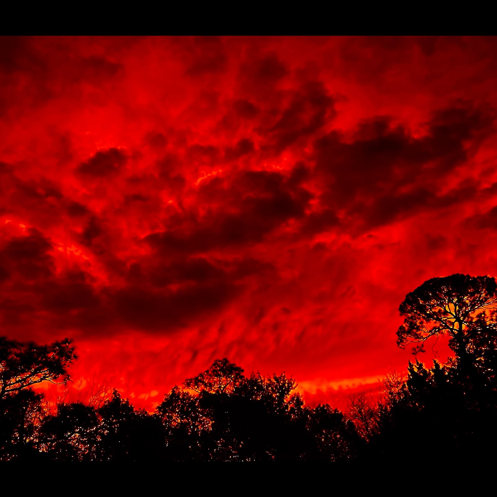 The Red Sky