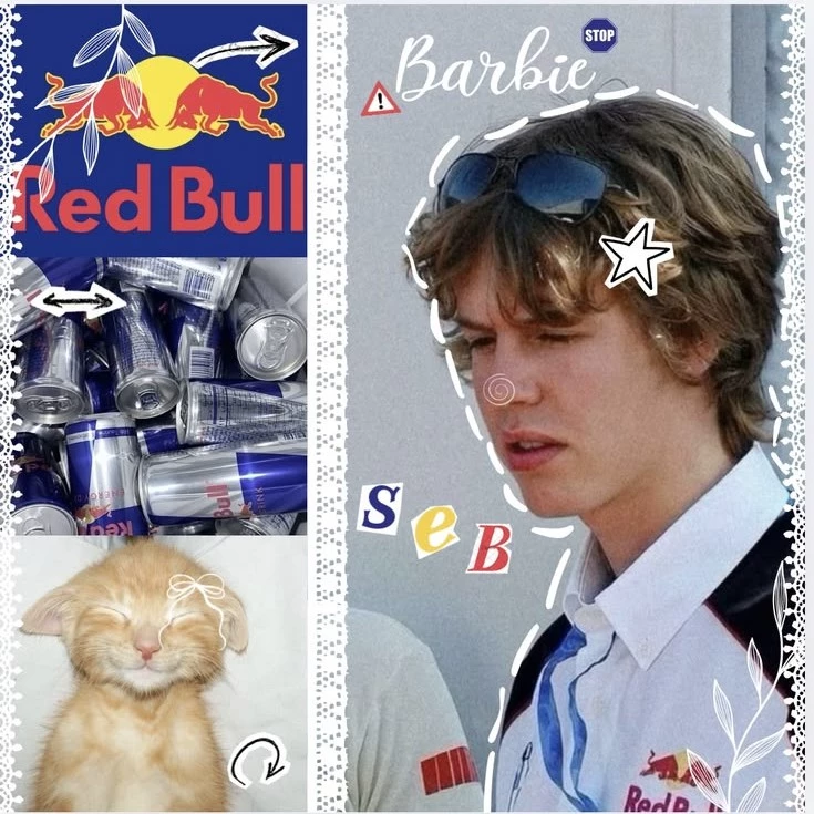 𝓘 '𝓶 𝓫𝓵𝓾𝓮 ⏤͟͟͞͞🏎 ୨୧