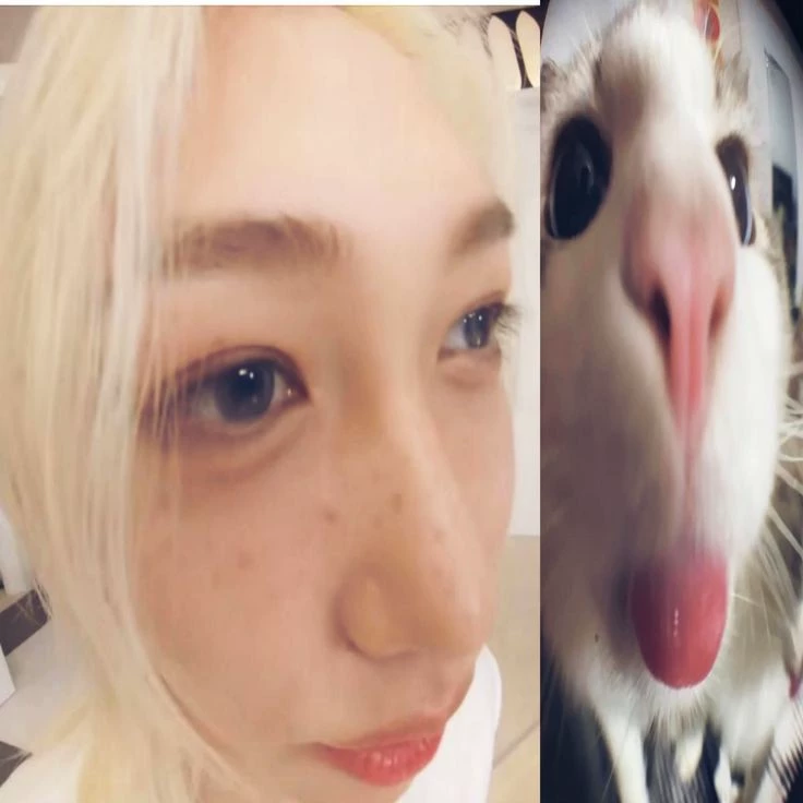 Kiara
