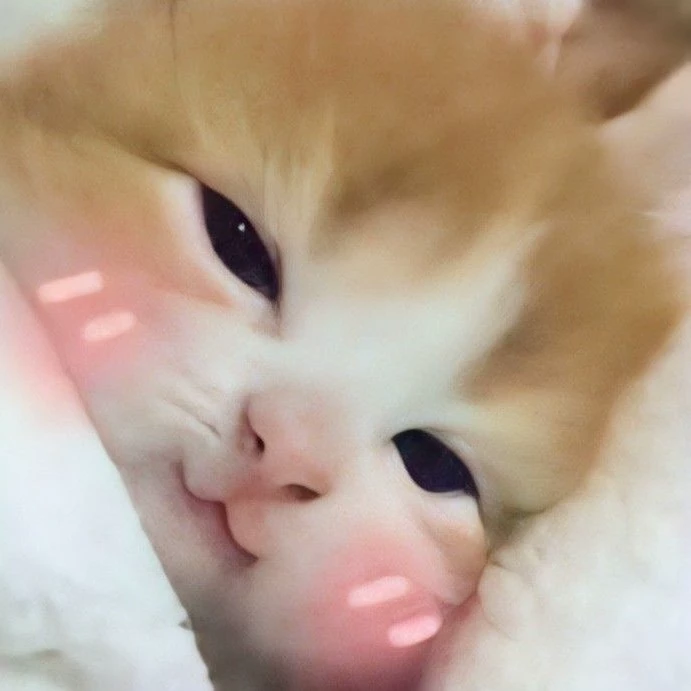 ฟลินน์
