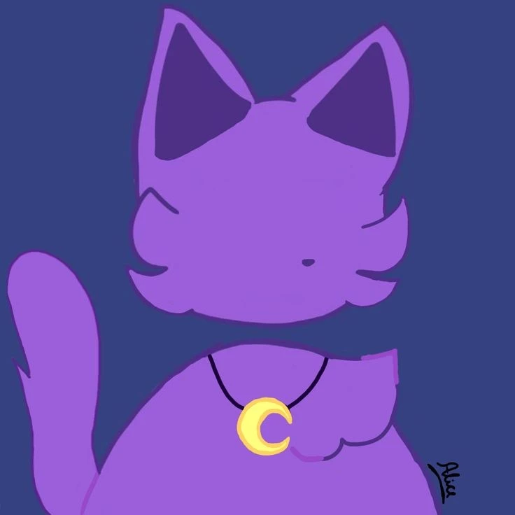 Catnap