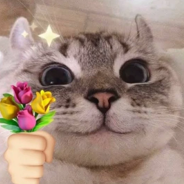O cara