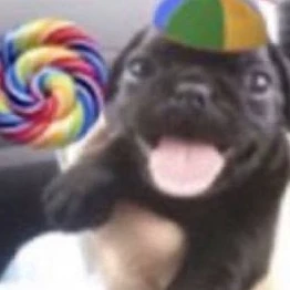 1 FAN OF PARTYBETLEE