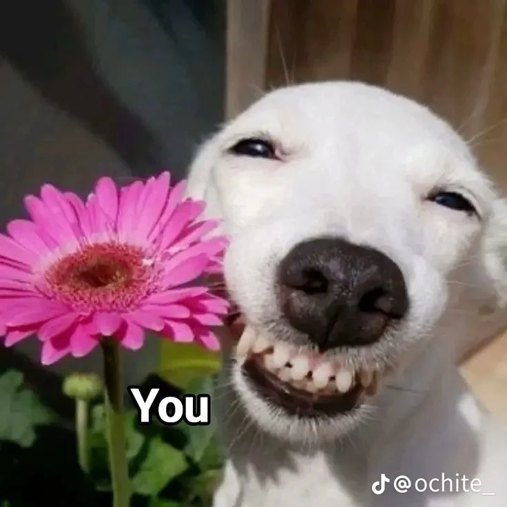 Yuerica_Nicerman120