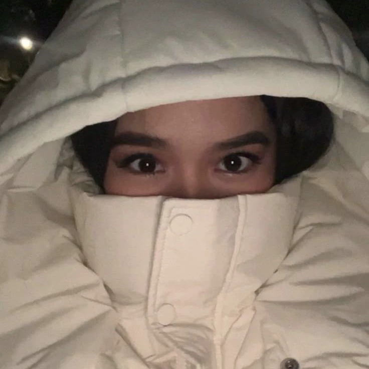 Ameer