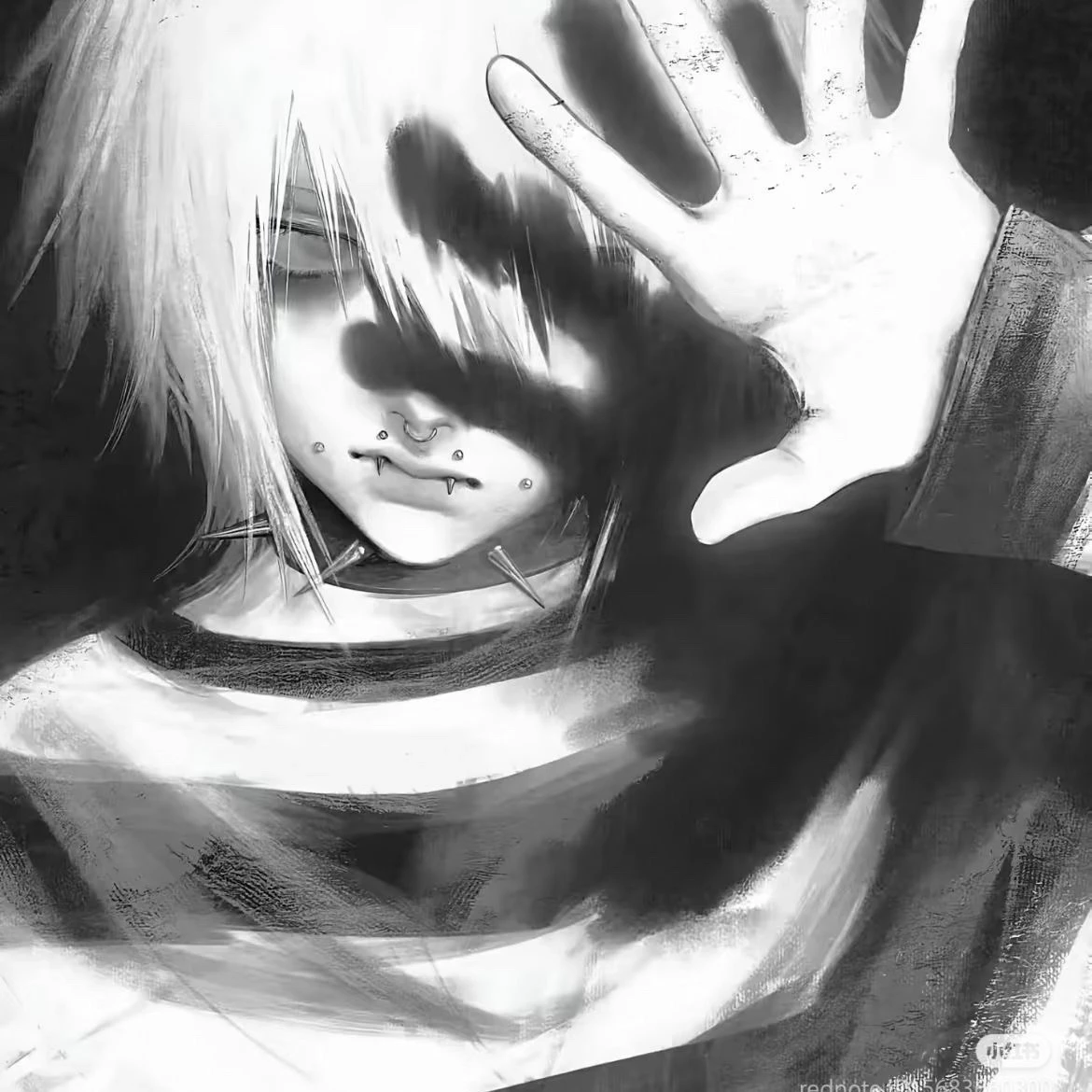 VEIL