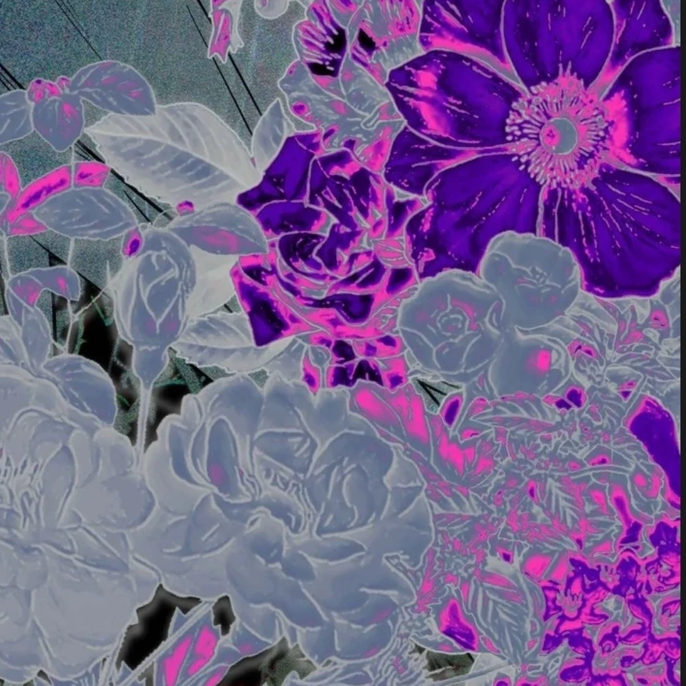 PurpleFl0wer