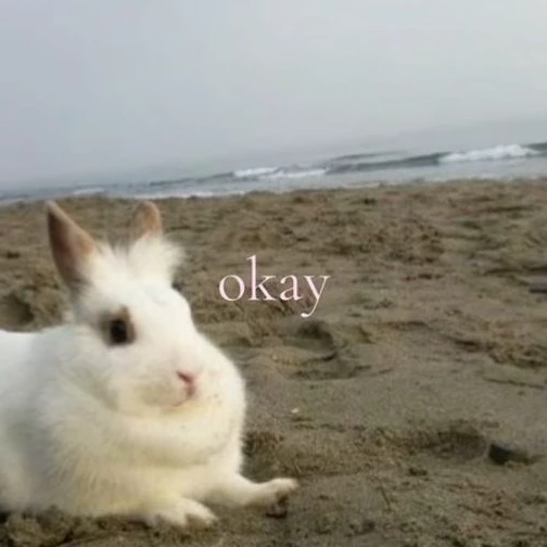 Молли