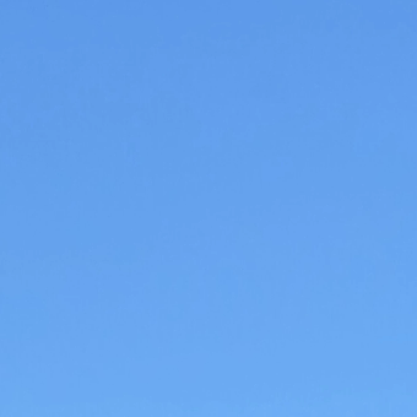 Saori